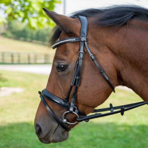 Leather Bridles