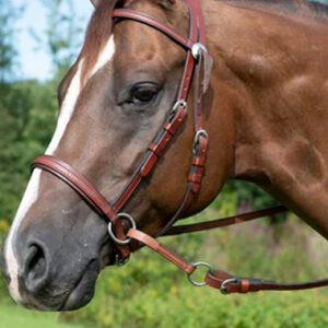 Western Head Stall & Breastplates