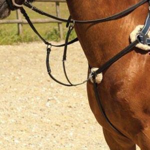 Running Martingales